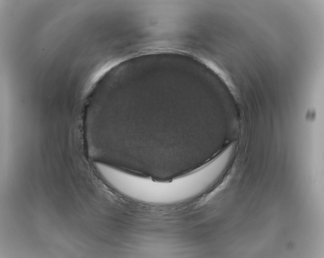 X0000091931453200709121549