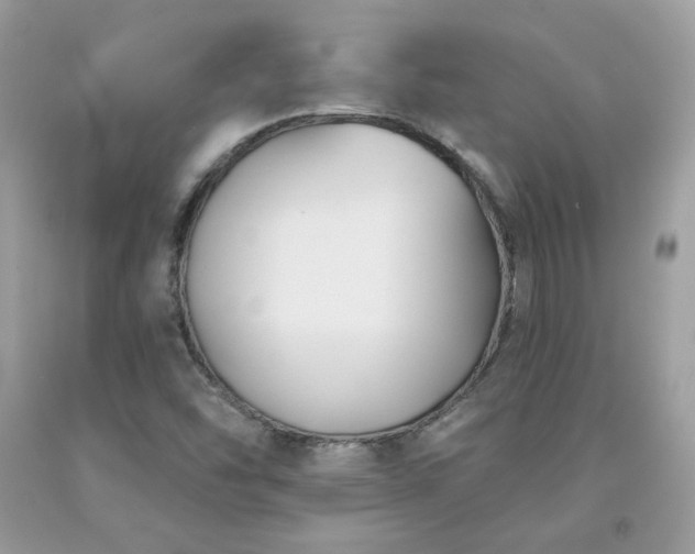 X0000091931454200709121549