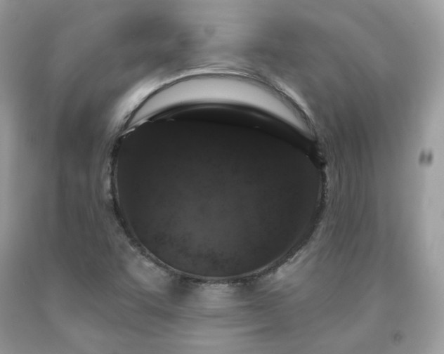 X0000091931455200709121549