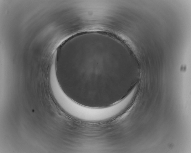 X0000091931457200709121549