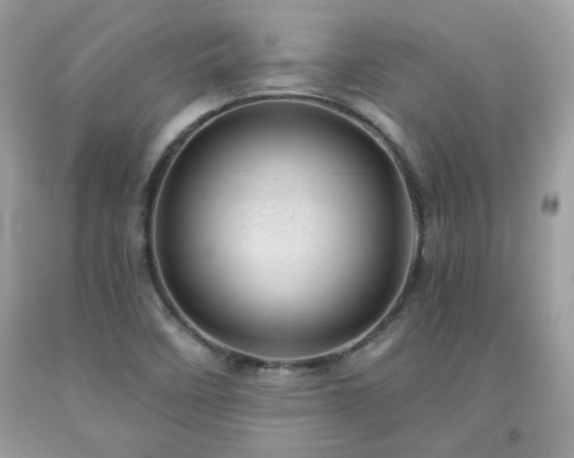 X0000091931458200709121549