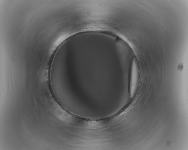 X0000091931459200709121549