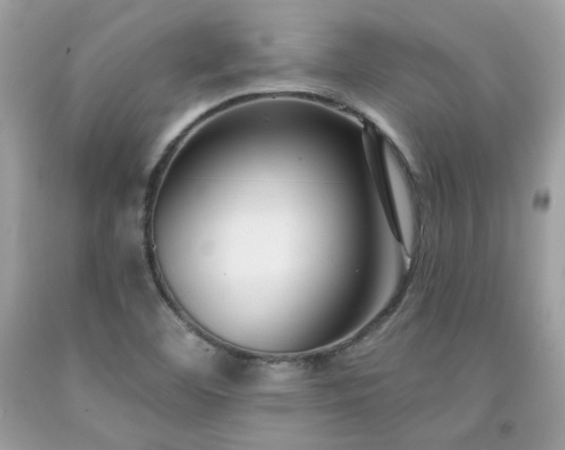 X0000091931460200709121549