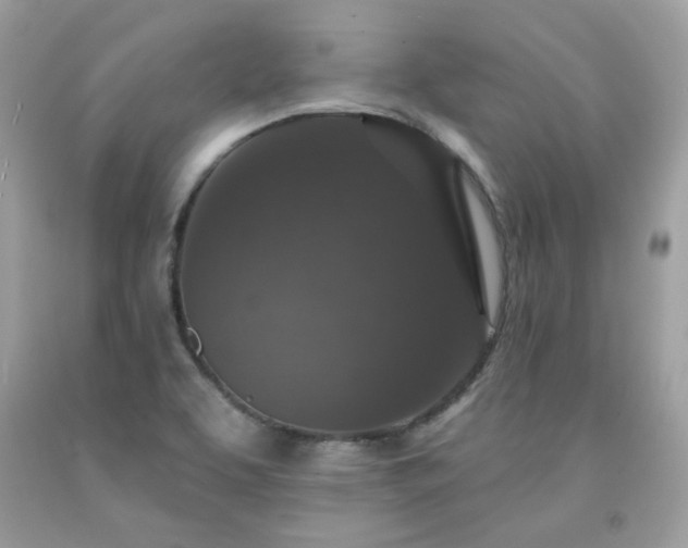 X0000091931463200709121549