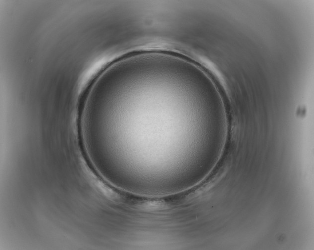 X0000091931464200709121549