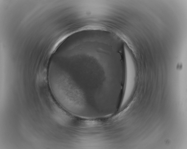 X0000091931465200709121549