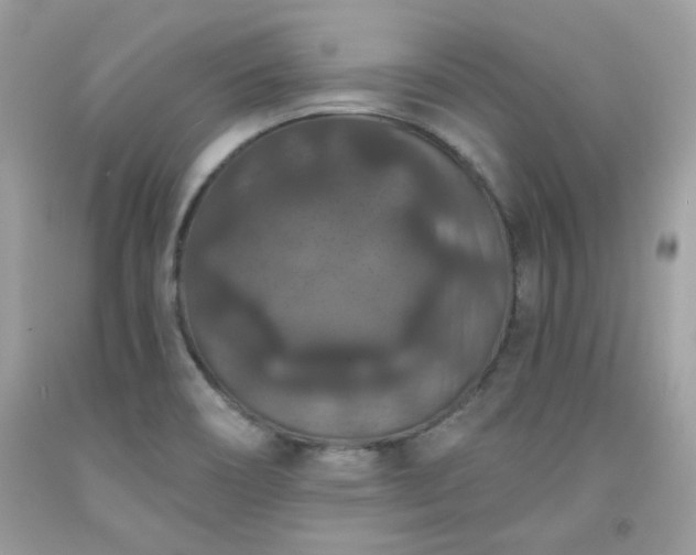 X0000091931466200709121549