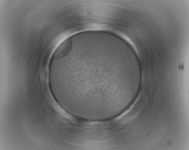 X0000091931467200709121549