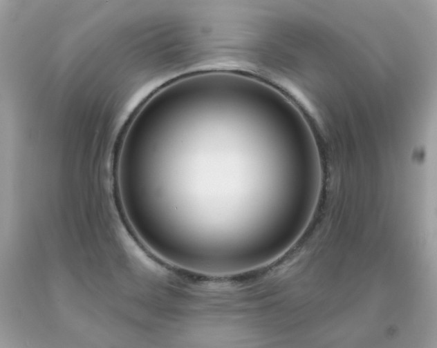 X0000091931468200709121549