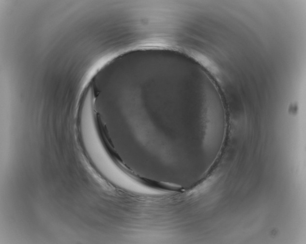 X0000091931469200709121549
