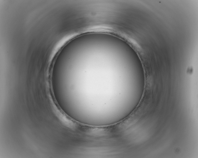 X0000091931470200709121549