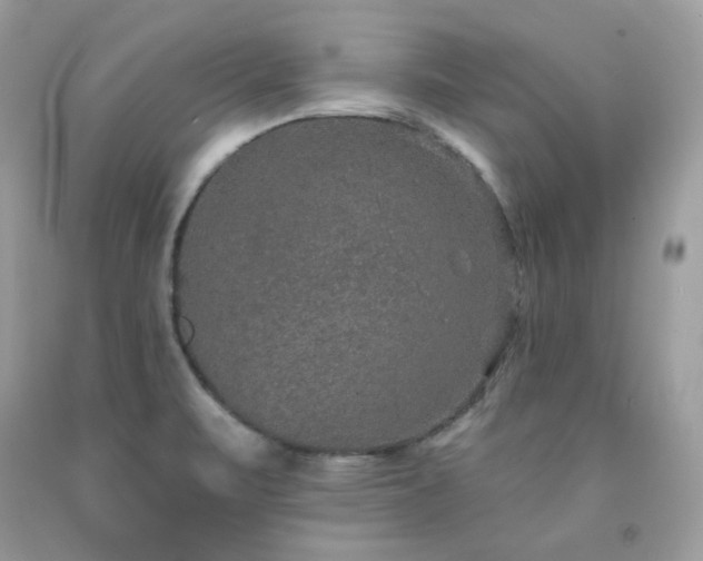 X0000091931471200709121549