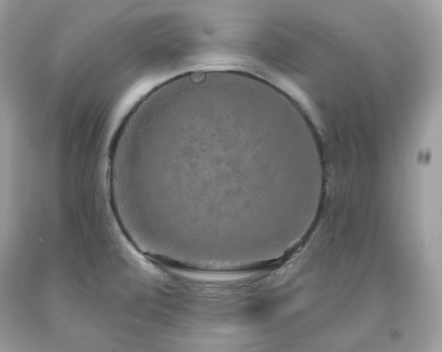 X0000091931472200709121549