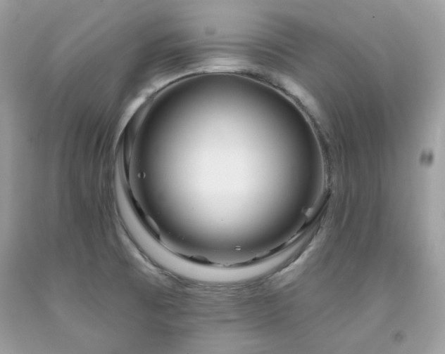 X0000091931473200709121549