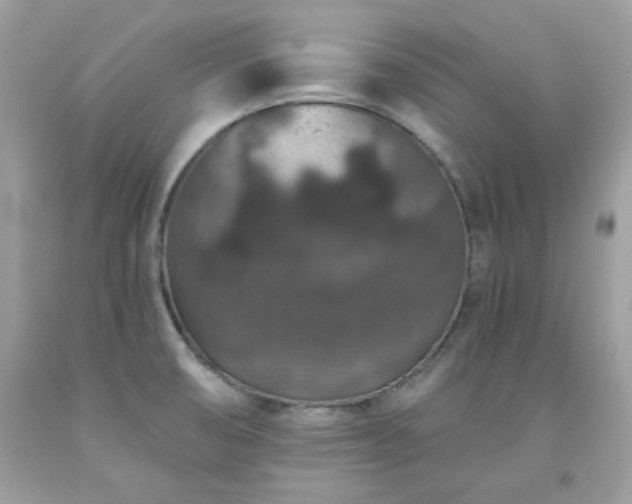 X0000091931474200709121549