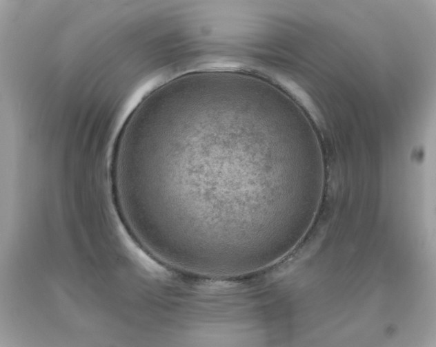 X0000091931475200709121549