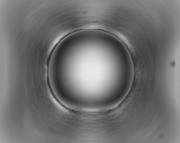 X0000091931476200709121549