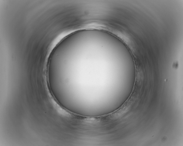 X0000091931478200709121549