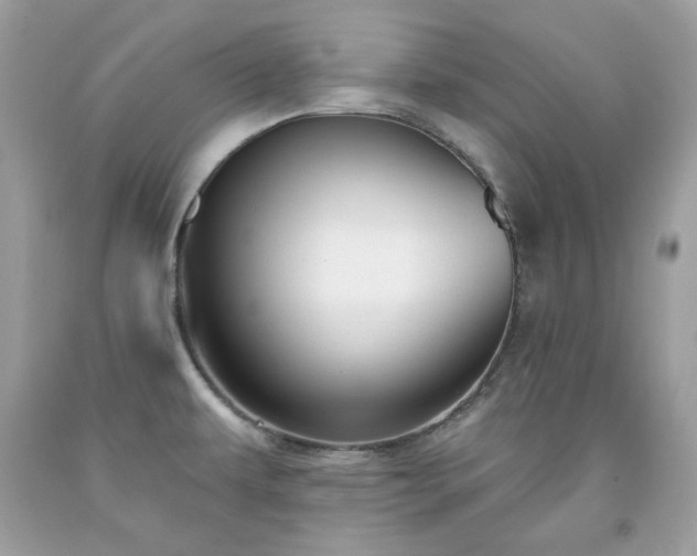 X0000091931479200709121549