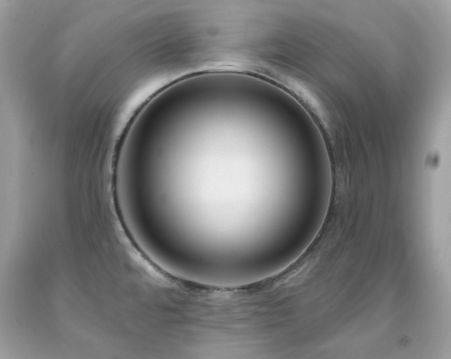 X0000091931480200709121549