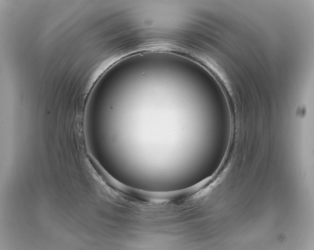 X0000091931481200709121549