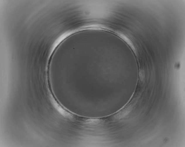 X0000091931482200709121549