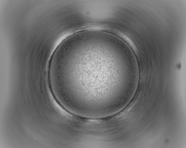 X0000091931483200709121549