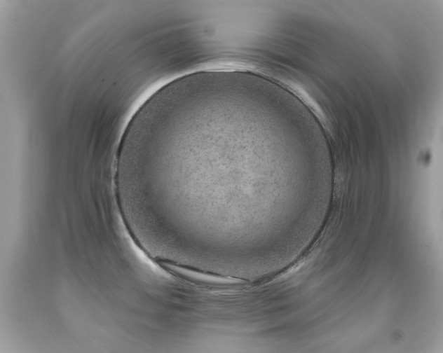 X0000091931484200709121549
