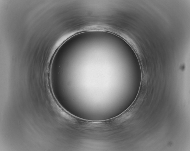 X0000091931486200709121549