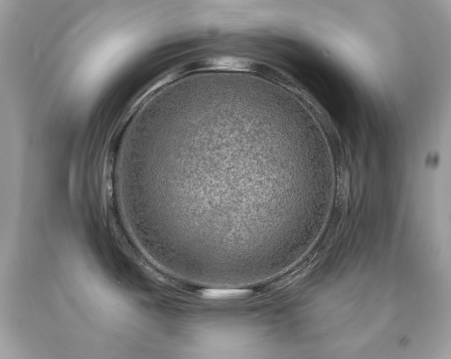 X0000091931487200709121549