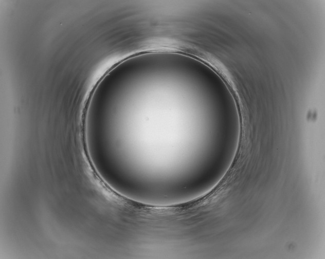 X0000091931488200709121549