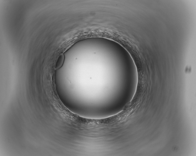 X0000091931489200709121548