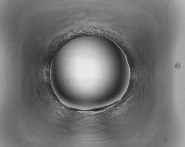 X0000091931490200709121548