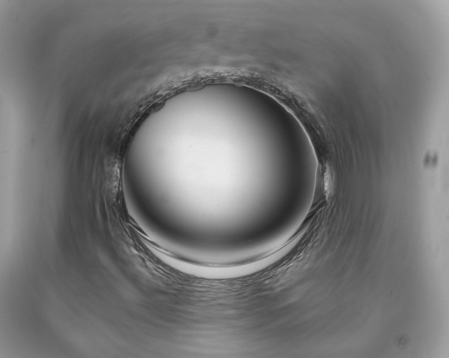 X0000091931492200709121548