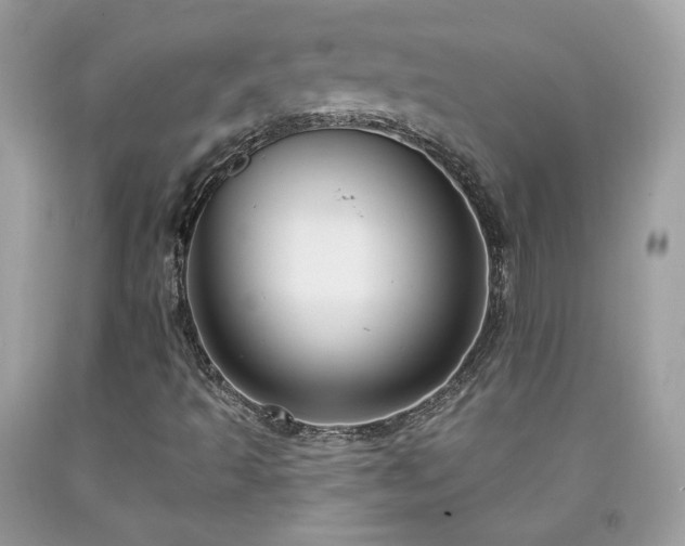 X0000091931493200709121548