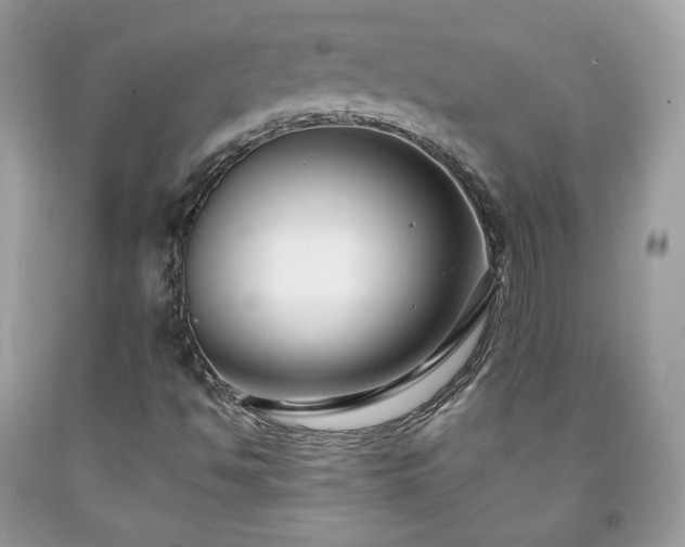 X0000091931494200709121548