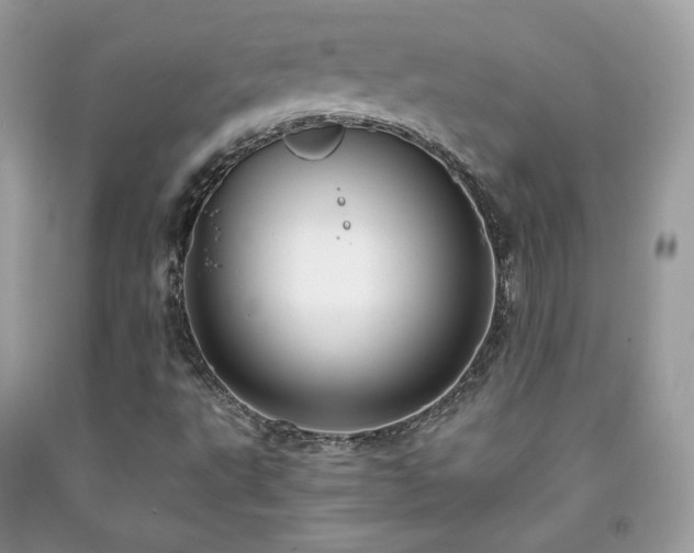 X0000091931495200709121548