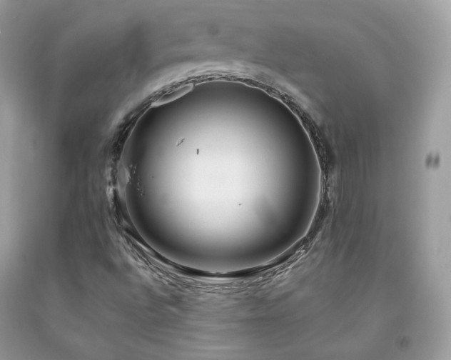 X0000091931496200709121548