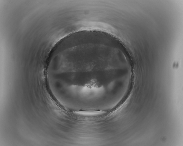X0000091931497200709121548