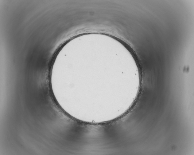 X0000091931498200709121548