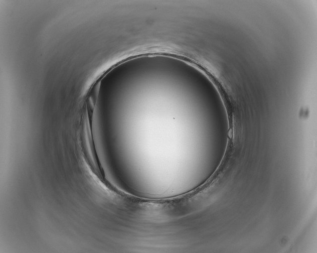 X0000091931500200709121548