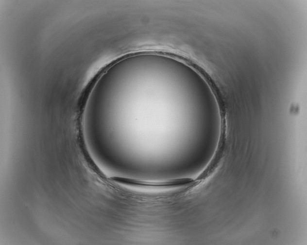 X0000091931501200709121548