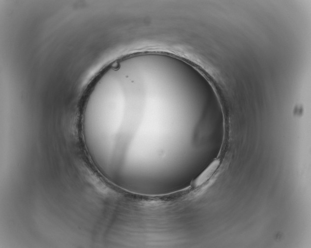 X0000091931502200709121548
