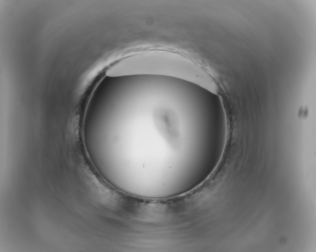 X0000091931503200709121548