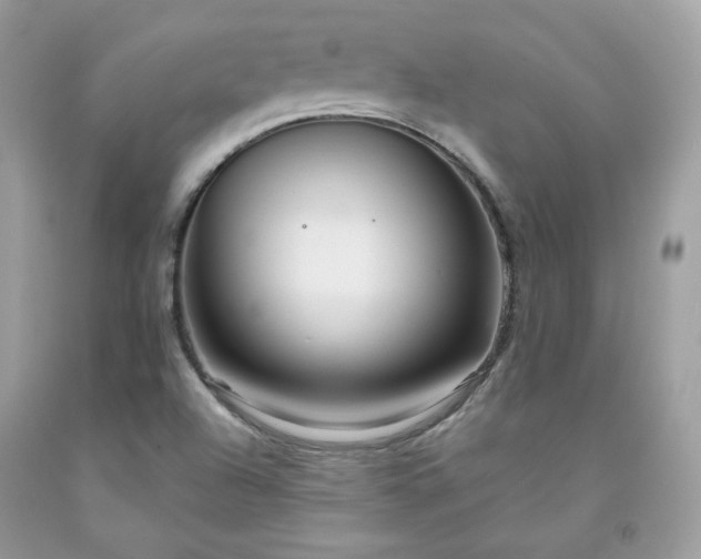 X0000091931504200709121548