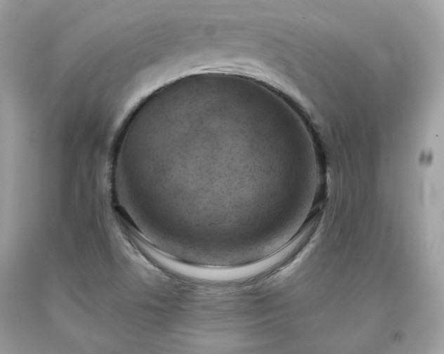 X0000091931506200709121548