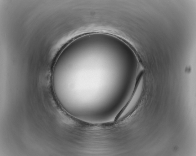 X0000091931507200709121548