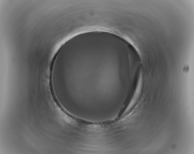 X0000091931508200709121548