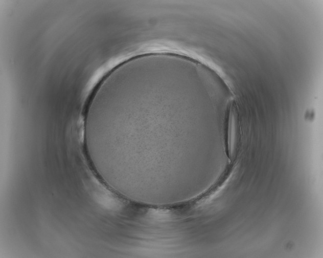 X0000091931509200709121548