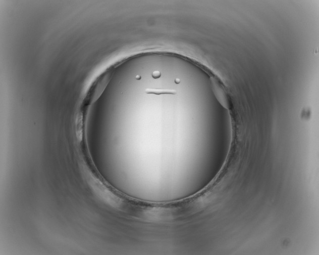 X0000091931510200709121548